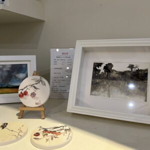 ① 探索體驗方案